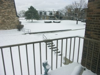 Outside our patio on April 4th
